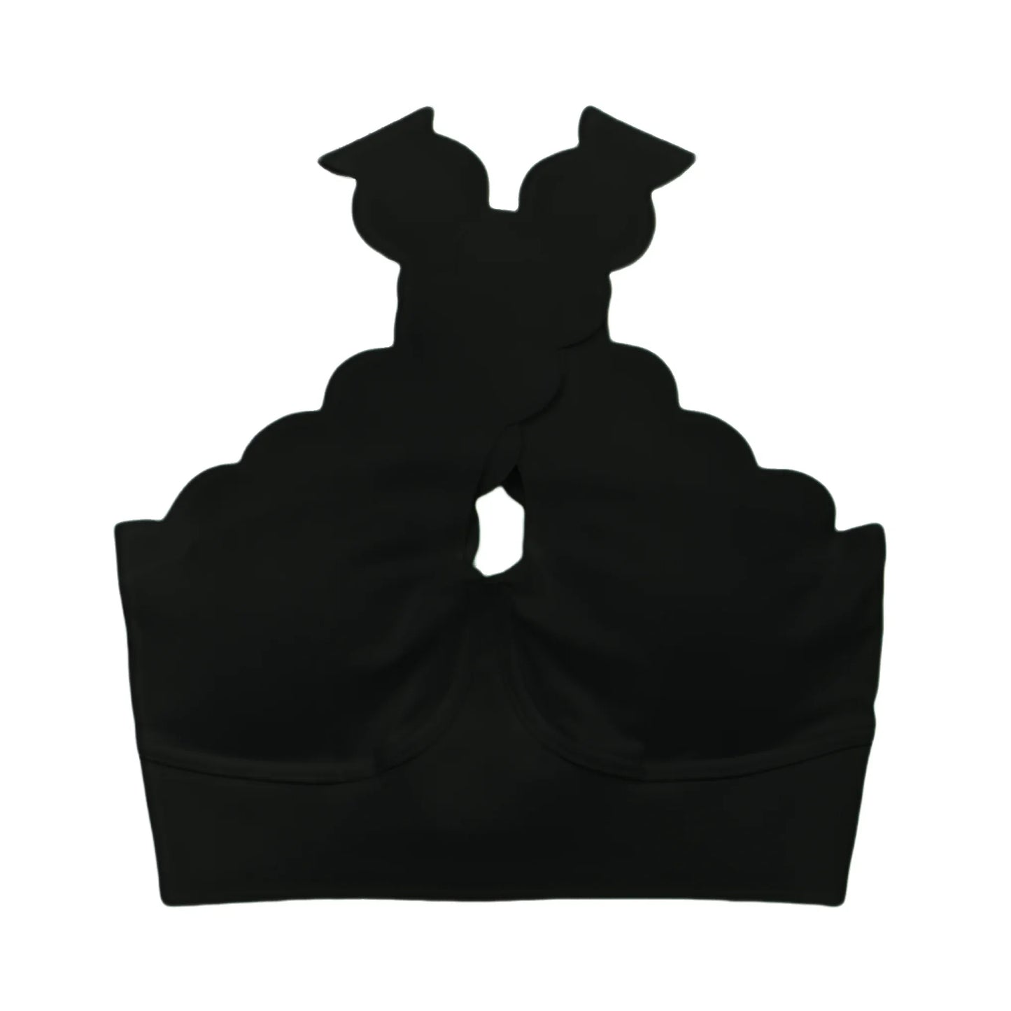 Top Scallop Perfection