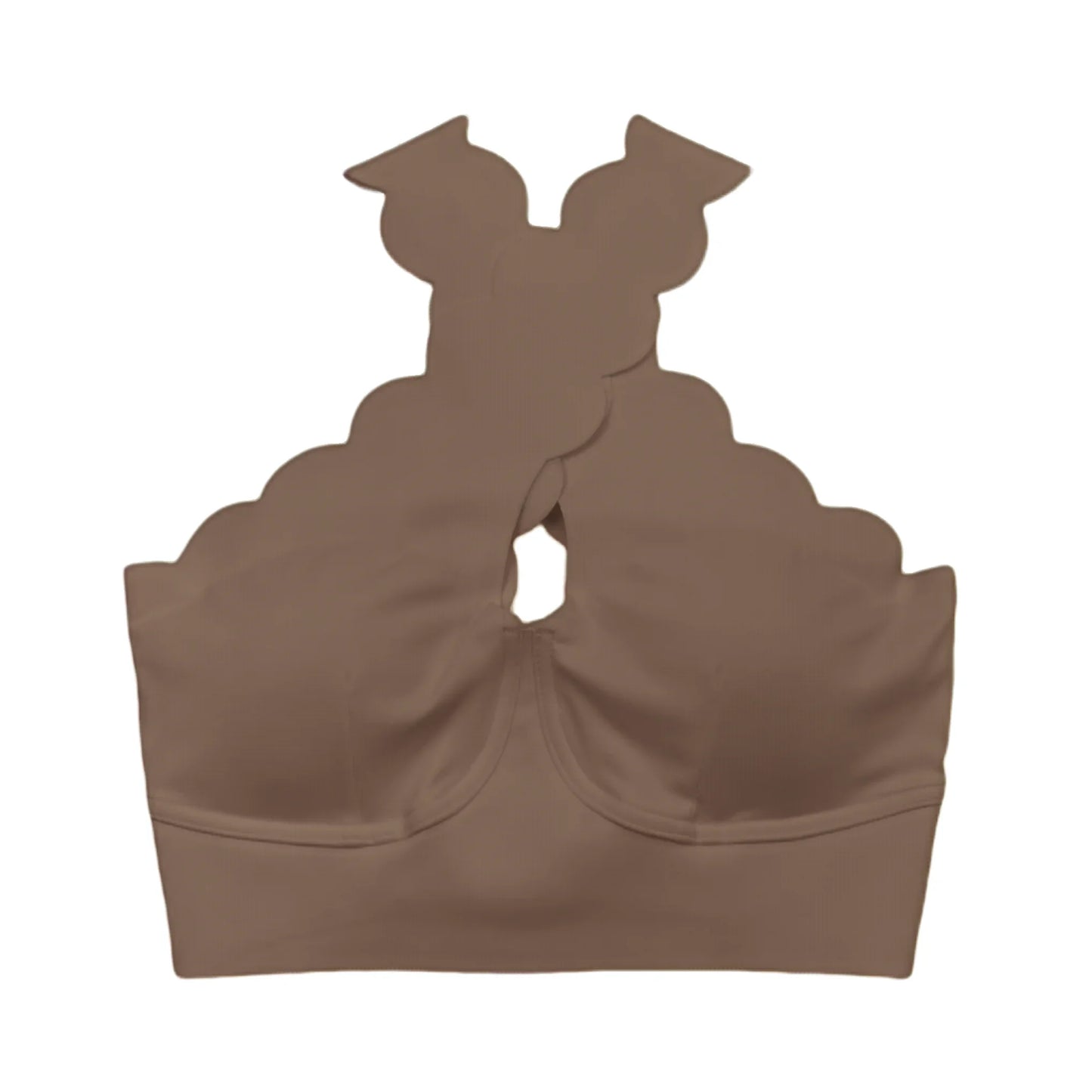 Top Scallop Perfection