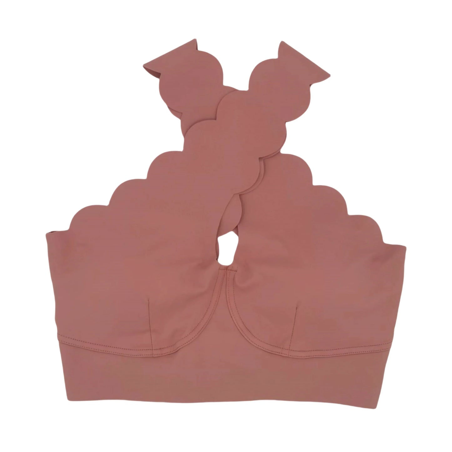 Top Scallop Perfection